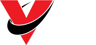 Vision Logo